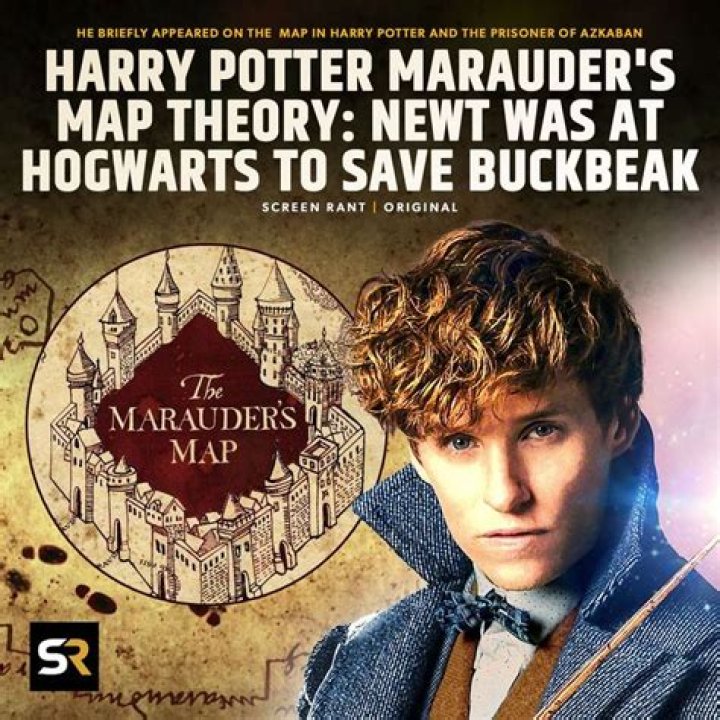 1 Harry Potter Theory Finally Explains Why Newt Was On The Marauder’s Map