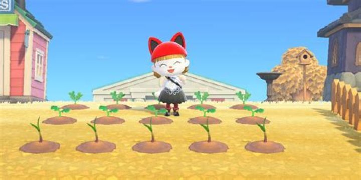 Animal Crossing: How to Grow More Vegetables