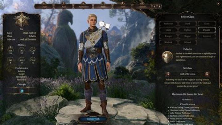 Baldur’s Gate 3: Paladin Subclasses