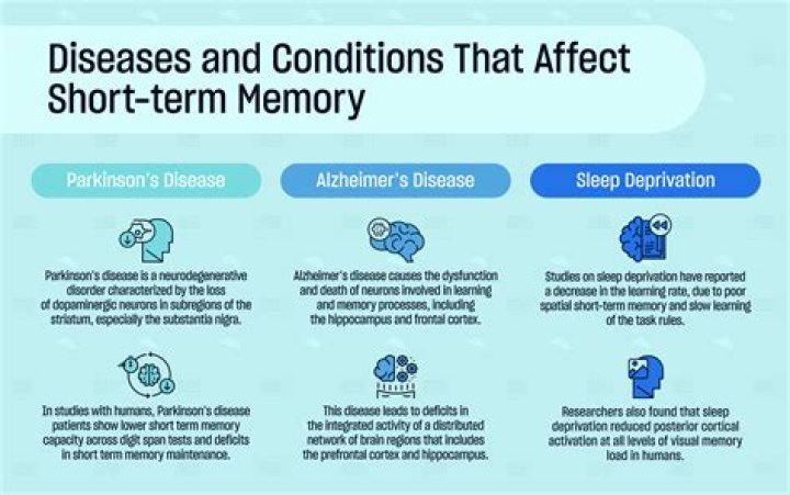 Dory’s Real Short-Term Memory Loss Condition Explained