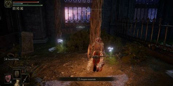 Every Grave Glovewort & Ghost Glovewort Location
