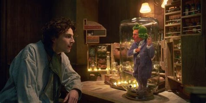 Every Upcoming Timothée Chalamet Movie