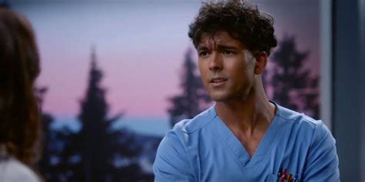 Grey's Anatomy Could Reveal Who Lucas' Mother Is In Season 20