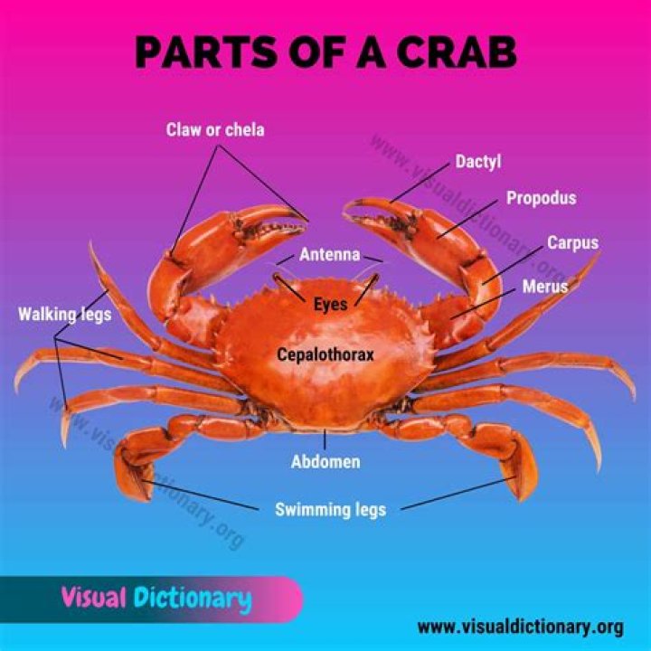 How Crab's Clues Fit Revealed Legend Bobby Brown