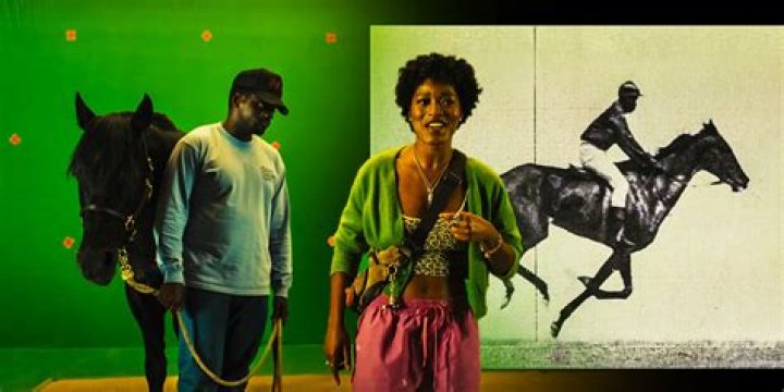 Is Haywood Hollywood Horses Real?