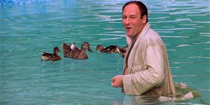 The Sopranos: Why Tony Is Obsessed With The Ducks