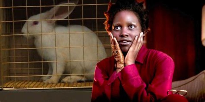 What Do The Bunnies Symbolize In Us