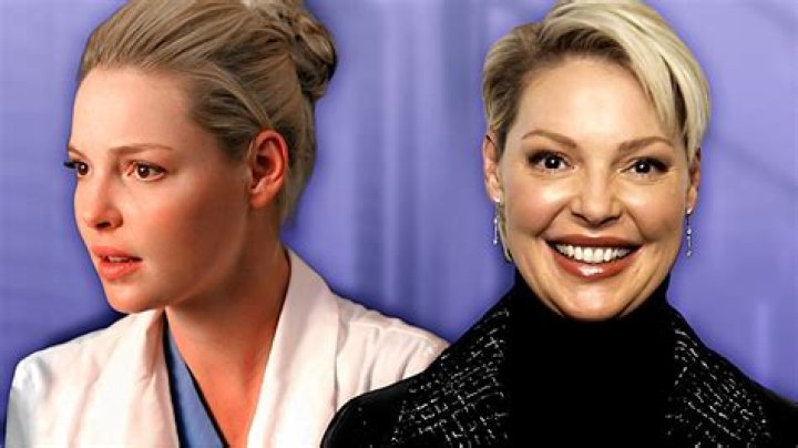 What Happened To Katherine Heigl's Izzie