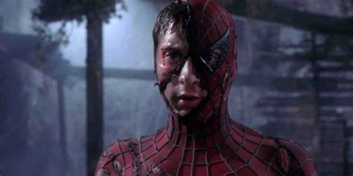What Happened To The Spider After Biting Peter Parker?