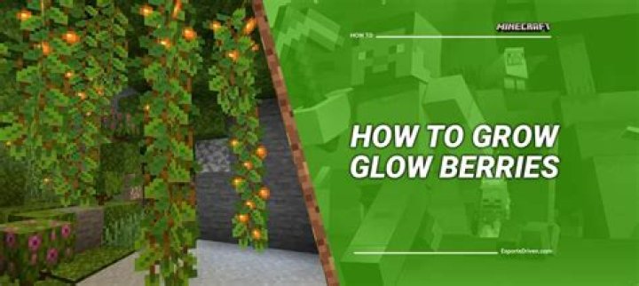 Where To Find Glow Berries in Minecraft (& What They're Used For)