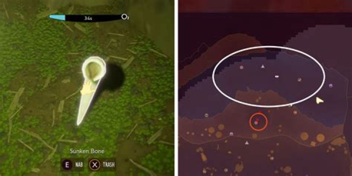Where to Find Sunken Bone in Grounded