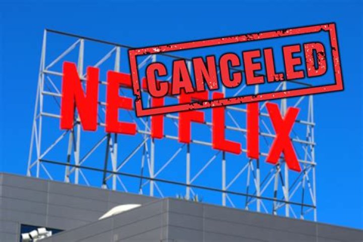 Why Netflix Canceled Katherine Langford's Show